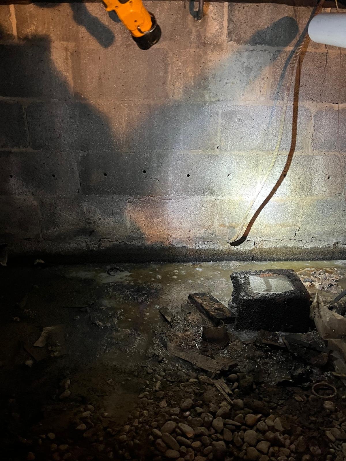 WhatsApp Image 2025-11-17 at 3.39.12 PM (1)