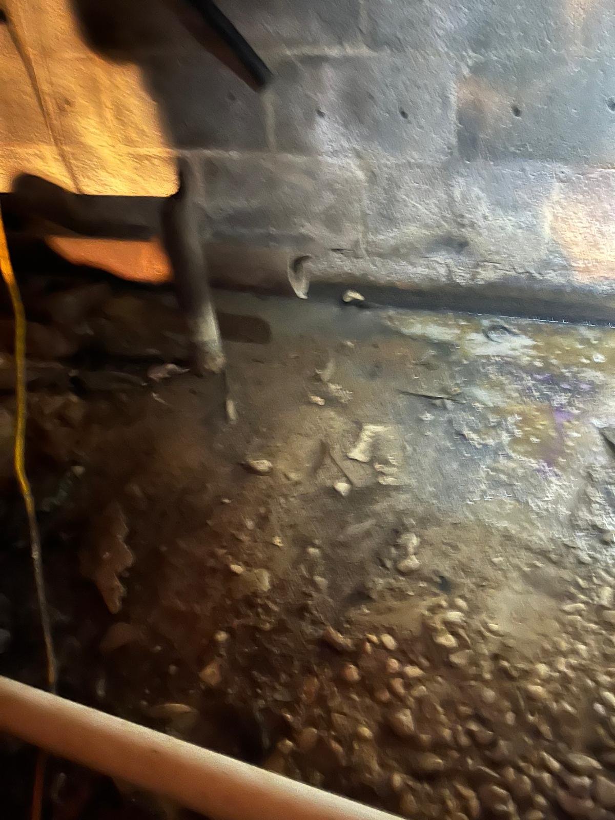 WhatsApp Image 2025-11-17 at 3.39.12 PM